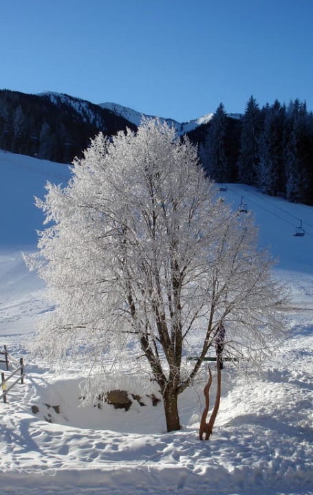 Schön & bizarrer Winter direkt vor'm Zimmer Holzhotel Forsthofalm