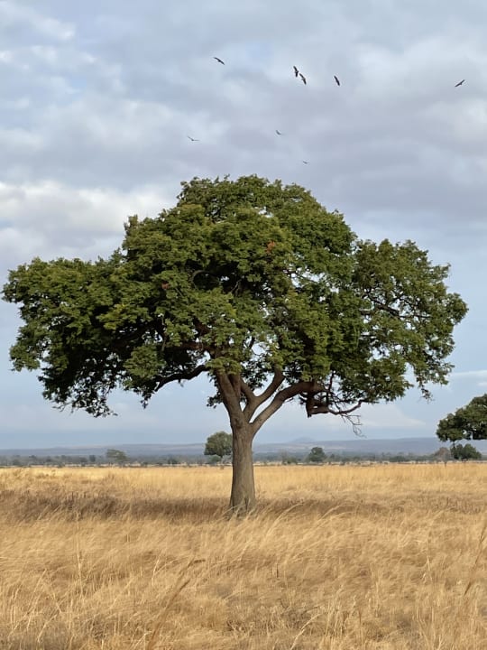 Sport & Freizeit Hotel Riu Jambo