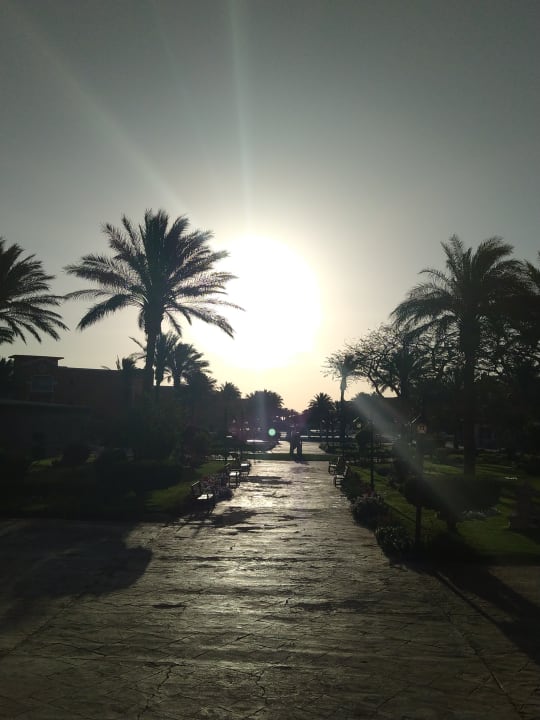 Gartenanlage Sentido Caribbean World Soma Bay