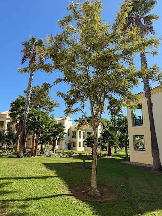 Zimmer AP Adriana Beach Resort