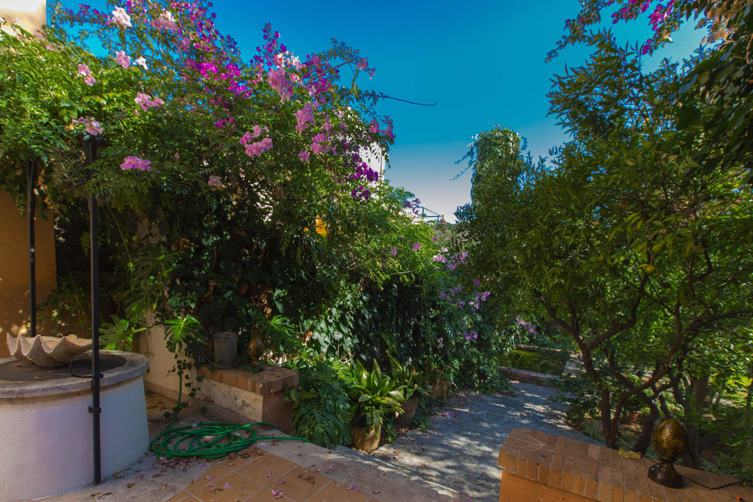 Garden 2 El Nido Alaro