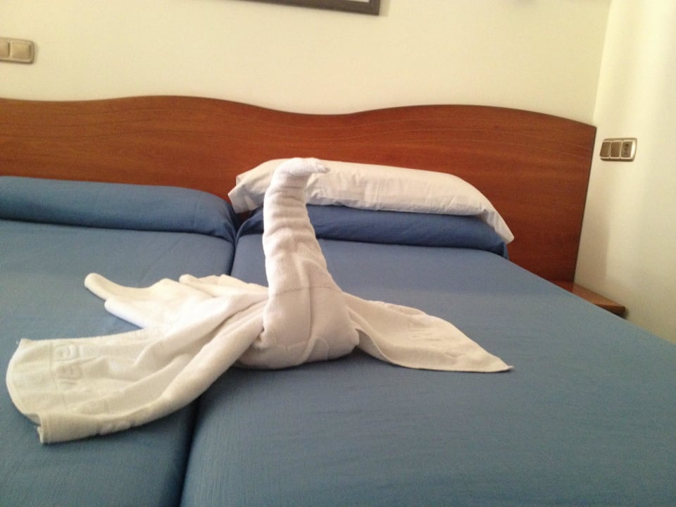 Schön...sehr nette Putzfrauen Hotel-Apartamentos Blau Parc