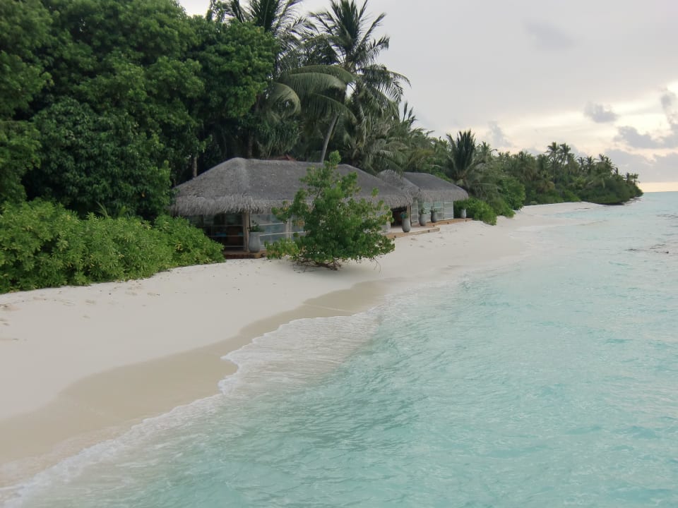 The Reef Kuramathi Maldives