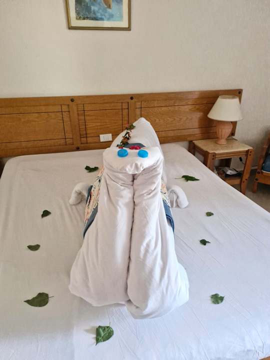 Zimmer Three Corners Fayrouz Plaza Beach Resort