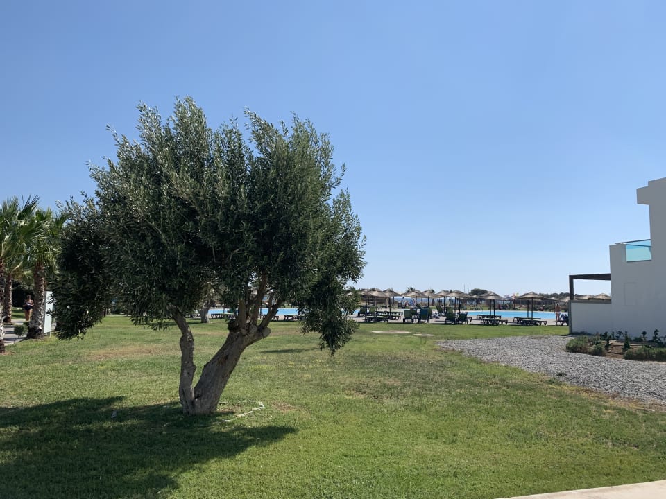 Gartenanlage Atlantica Plimmiri