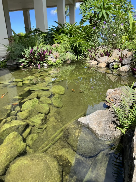 Gartenanlage Hilton Mauritius Resort & Spa