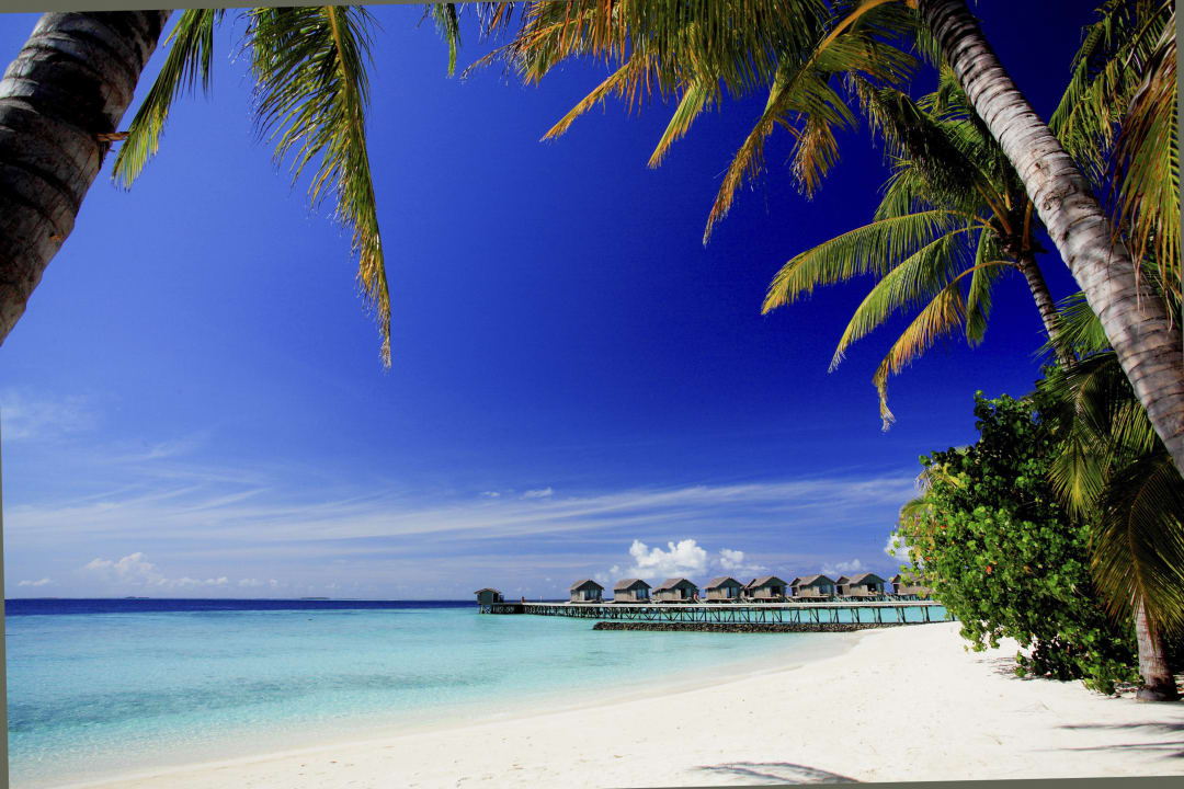 Strand Centara Ras Fushi Resort & Spa Maldives