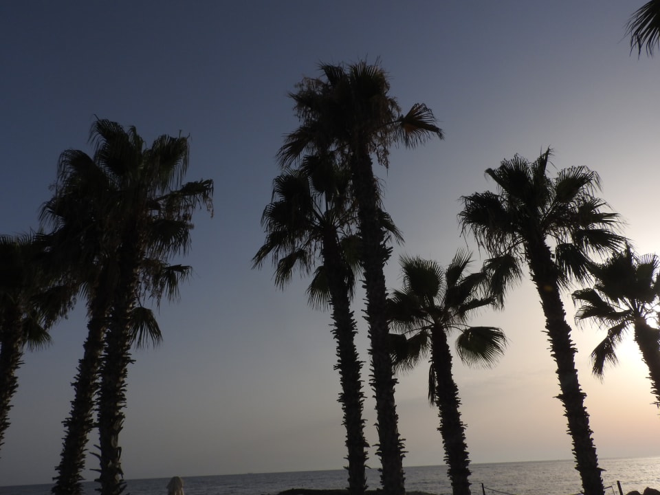 Strand Louis Ledra Beach
