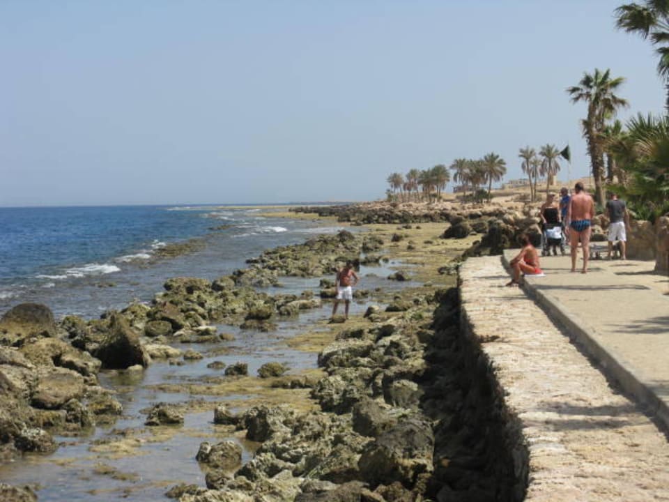 Blick von re. Lagune aus Pickalbatros Citadel Resort