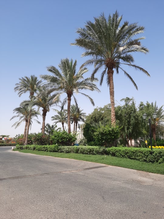 Gartenanlage Sindbad Club