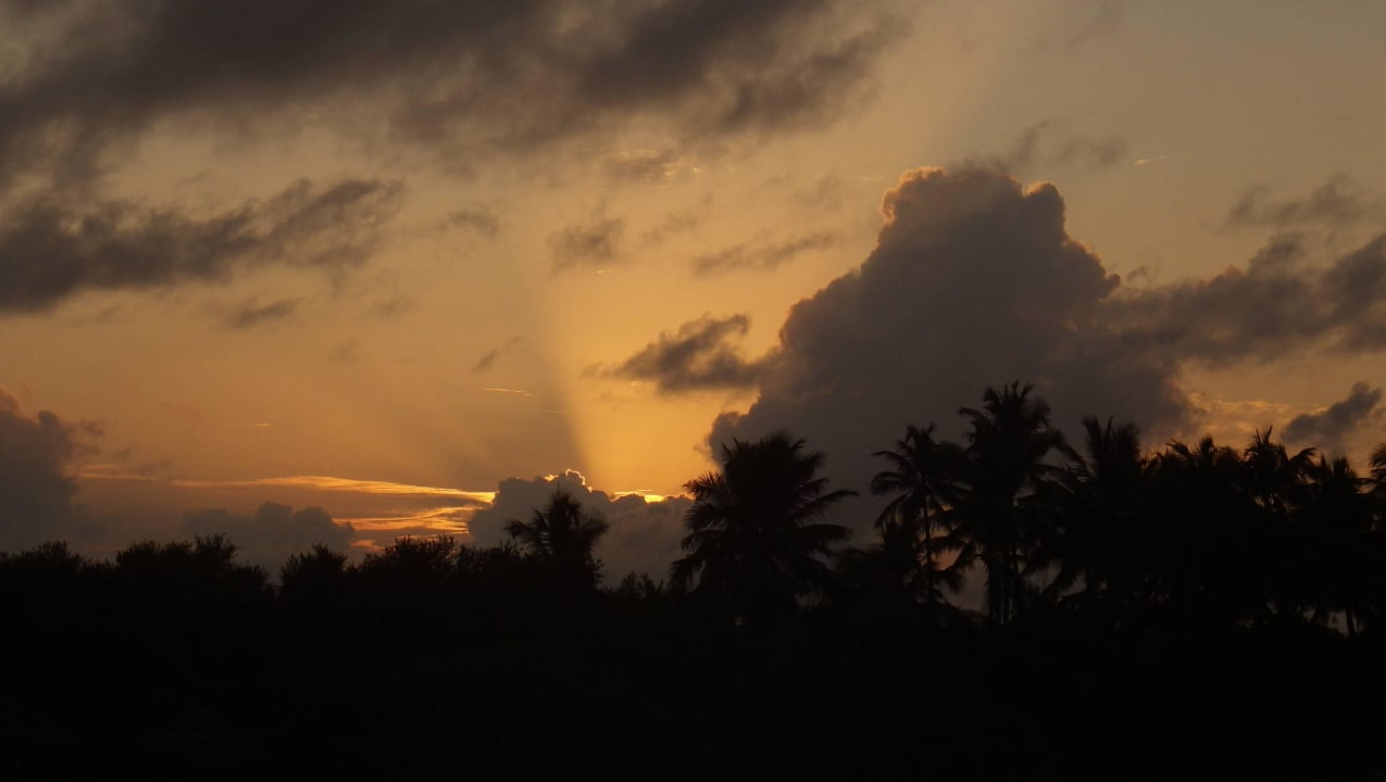 Schöne Vegetation Kuramathi Maldives