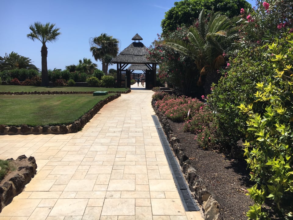 Gartenanlage Elba Carlota Beach & Golf Resort