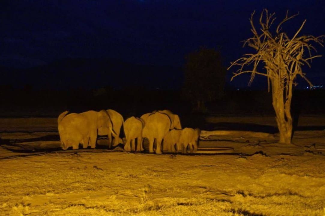 Ausblick beim Dinner Sentrim Tsavo Lodge
