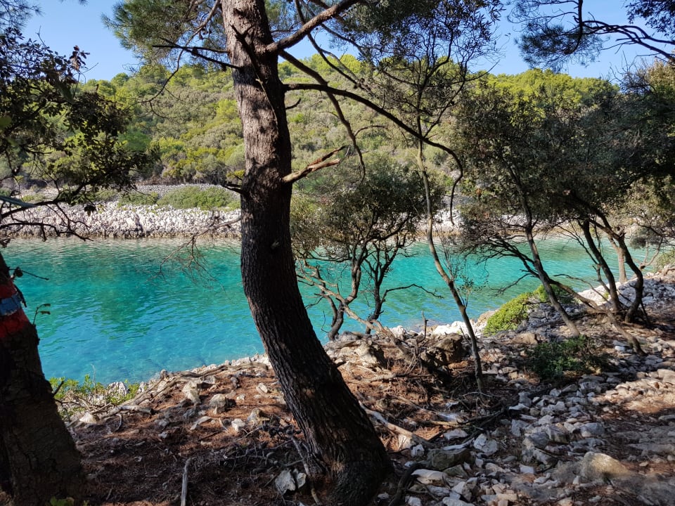 Ausblick Hotel Aurora