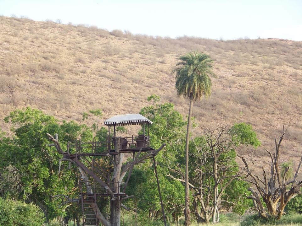 Baumhausturm im Garten The Ummaid Bagh Resorts
