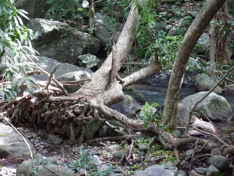 Hinter dem Hotel - Natur Hotel Sunset Bay Club