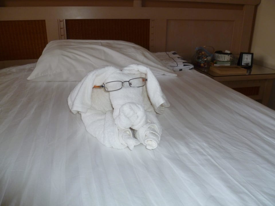 Wau, Wau HVD Clubhotel Miramar