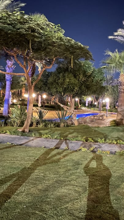 Gartenanlage Steigenberger ALDAU Beach Hotel