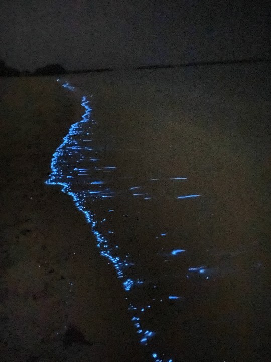 Strand Summer Island Maldives