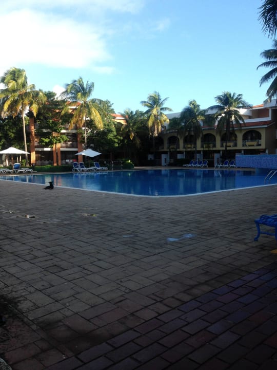 Grosser pool Hotel Roc Barlovento