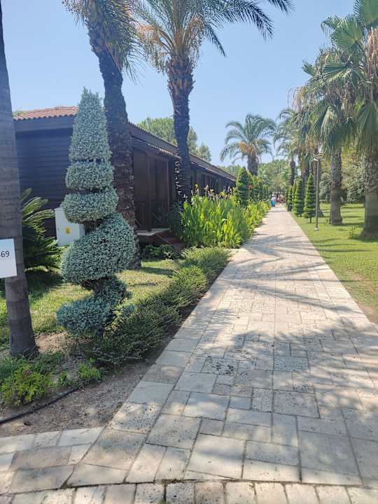 Gartenanlage Calimera Serra Palace