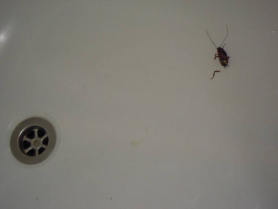 Bad Riviera Spa Resort - Adults Only