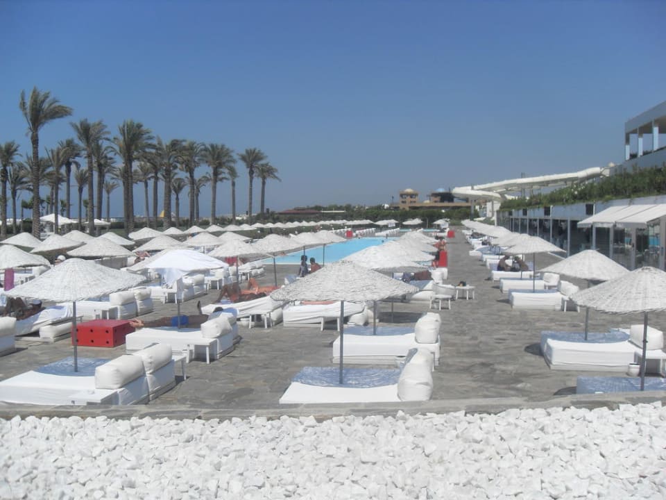 Der 2. von 3 Pools mit Mucke und Gogos Adam & Eve - Adults only