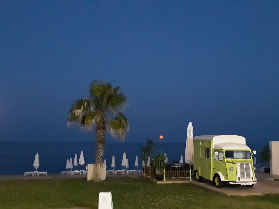 Strand Sentido Marea