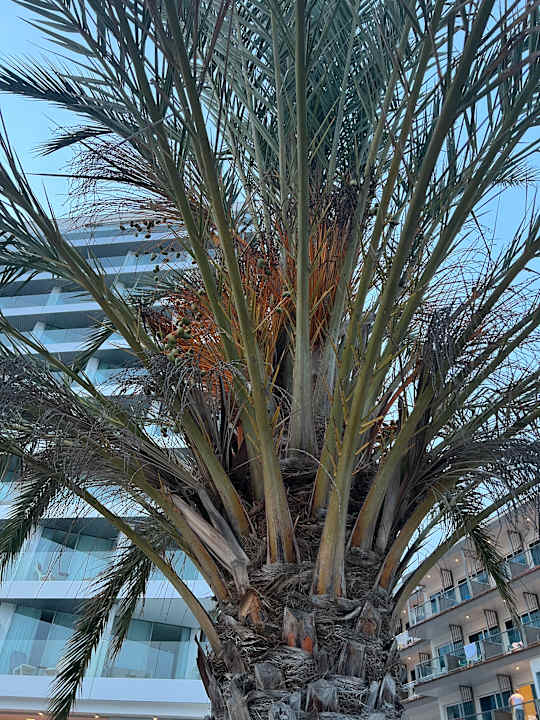 Ausblick R2 Lago Playa Park