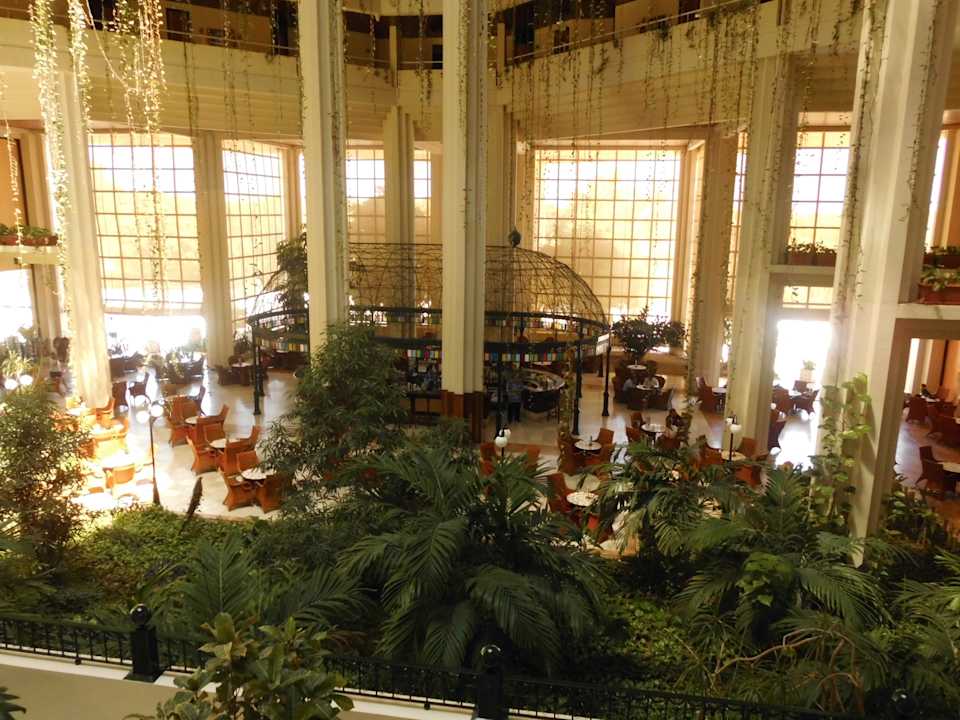 Von oben Blau varadero - Adults only