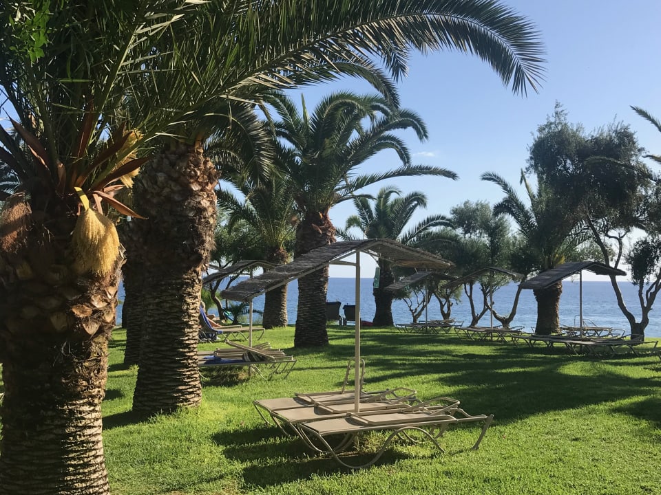 Gartenanlage Crystal Springs Beach Hotel