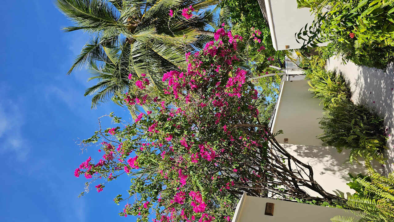 Gartenanlage Vilamendhoo Island Resort & Spa