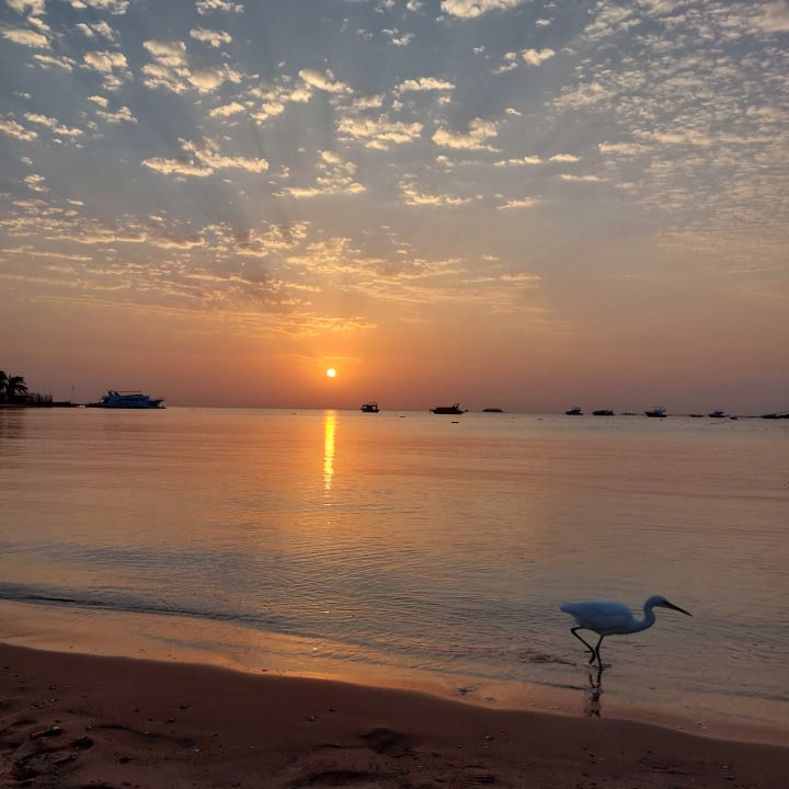 Zimmer SUNRISE Royal Makadi Resort