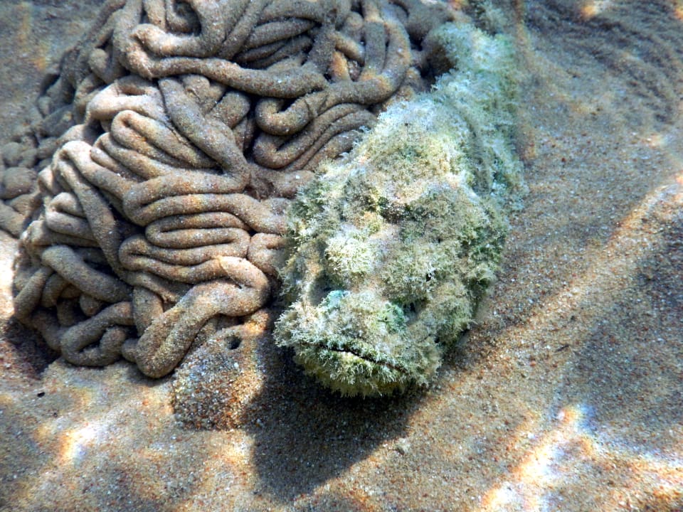 Sport & Freizeit Serenity Alpha Beach