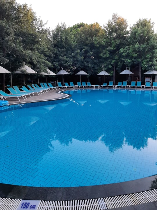 Pool Can Garden Beach