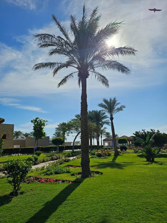 Gartenanlage Sentido Caribbean World Soma Bay