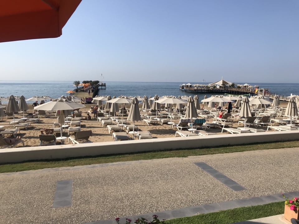 Ausblick Arum Barut Collection