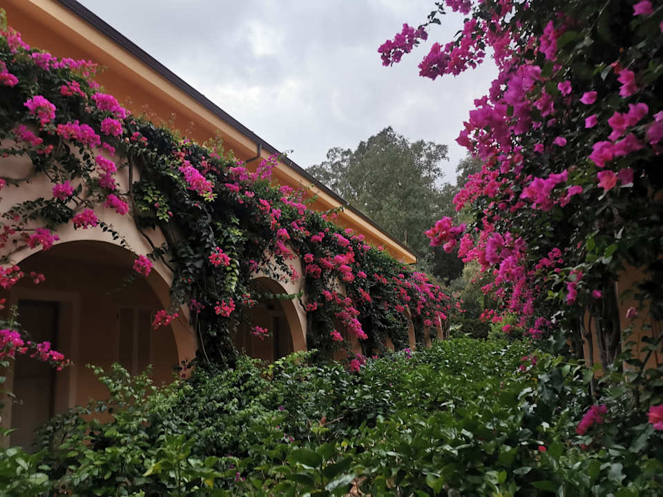 Gartenanlage TUI MAGIC LIFE Calabria