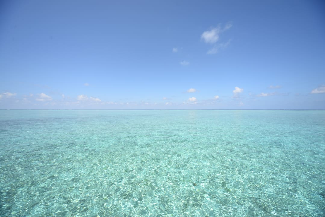Ausblick Summer Island Maldives
