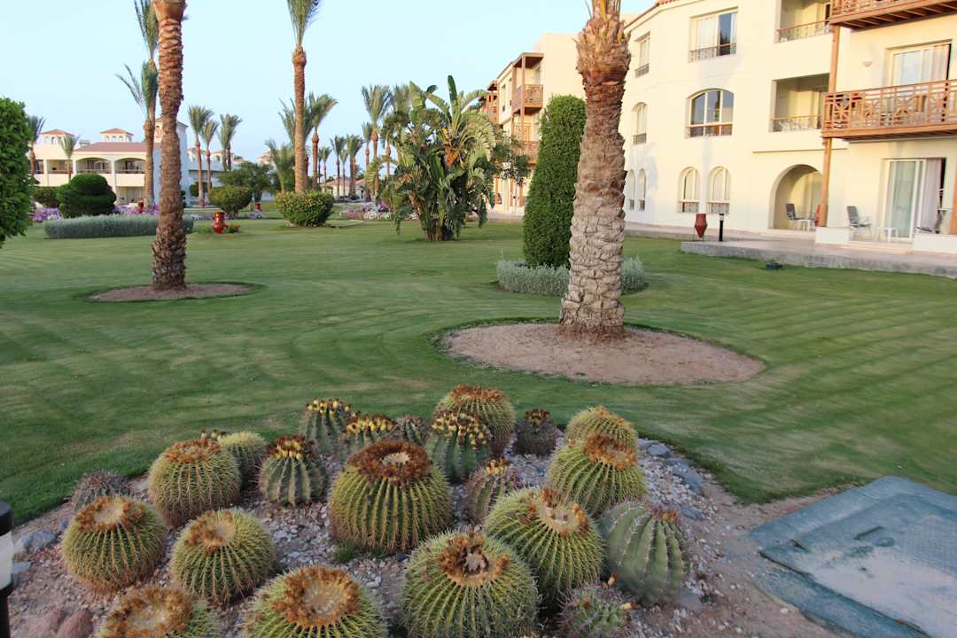 2000er Block Pickalbatros Dana Beach Resort - Hurghada