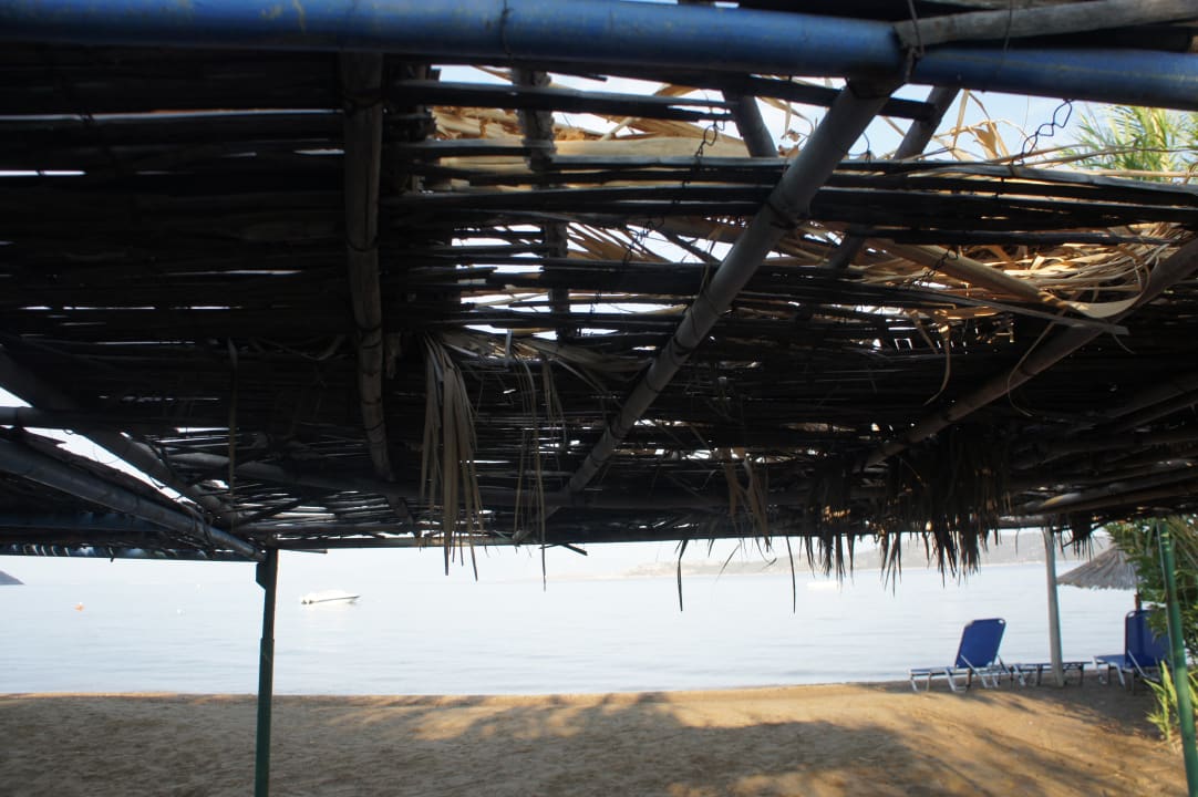 Strand Hotel Venus Beach