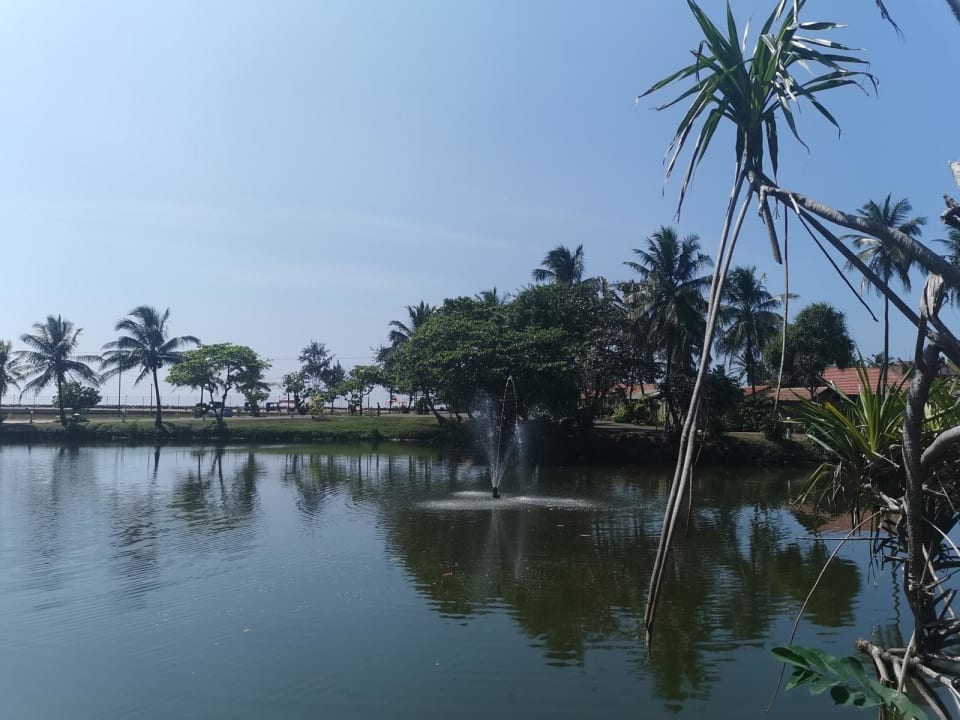 Gartenanlage Club Palm Bay