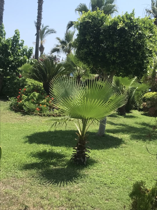 Gartenanlage Saphir Hotel & Villas