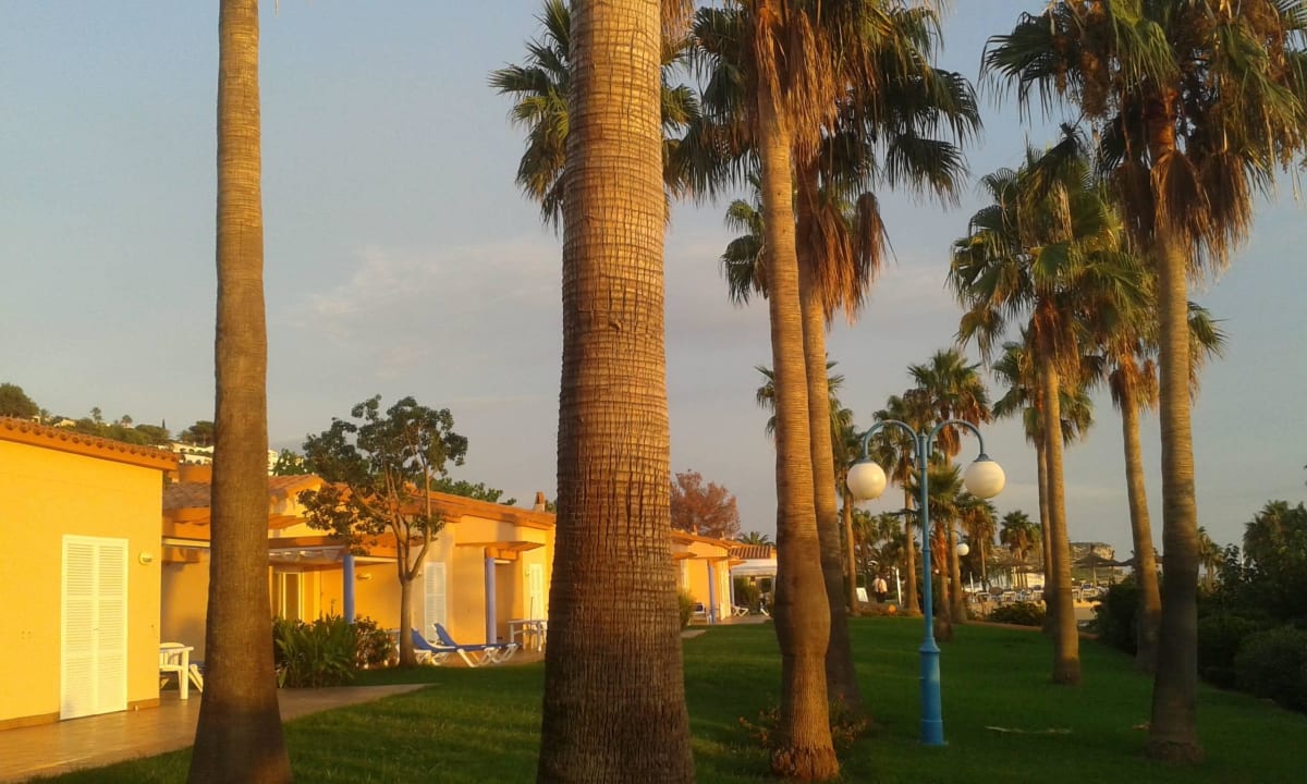 PoolanlageAnlage mit Garten Apartments Mar Blau