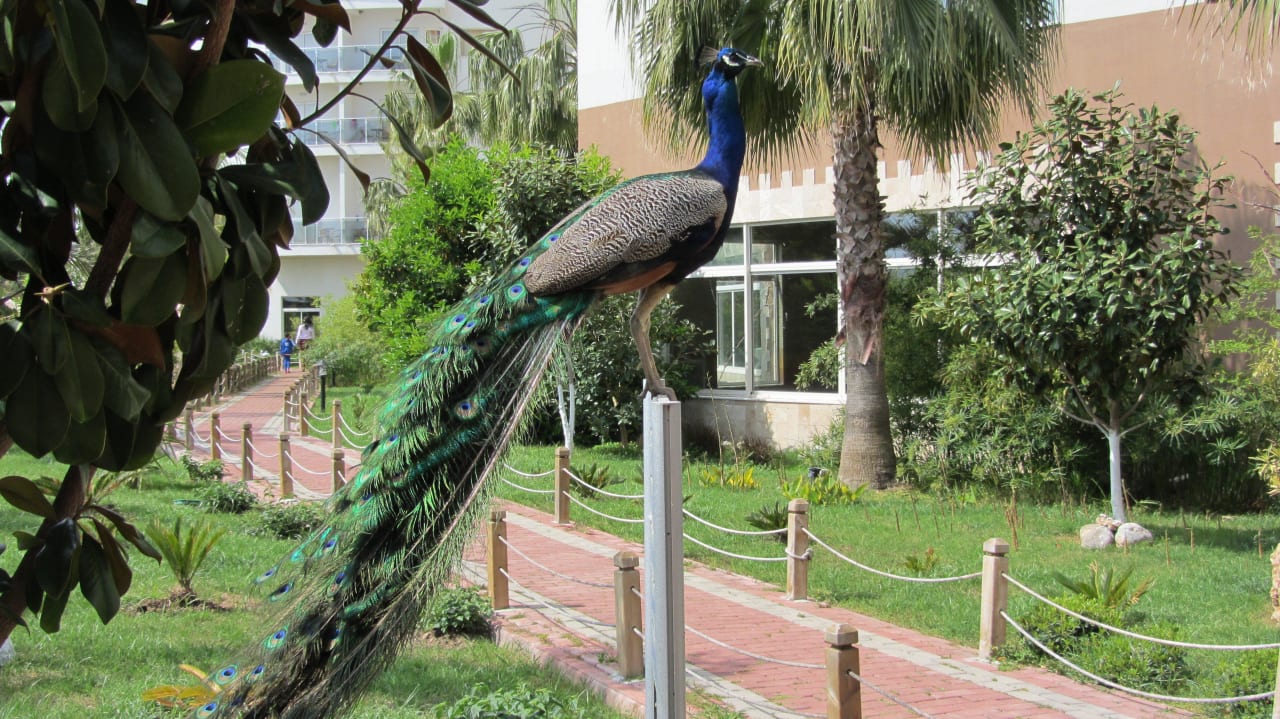 Hotel Sea World Seaden Sea World Resort & Spa