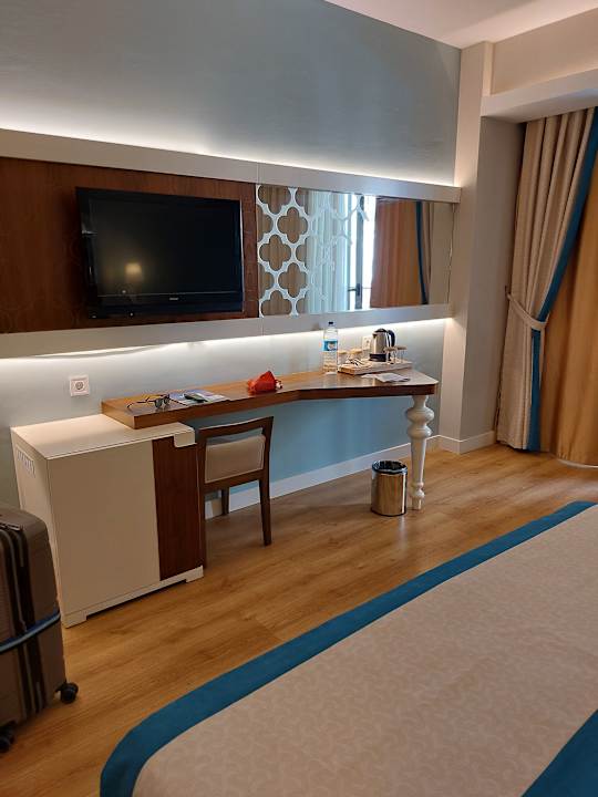 Zimmer Seashell Vega