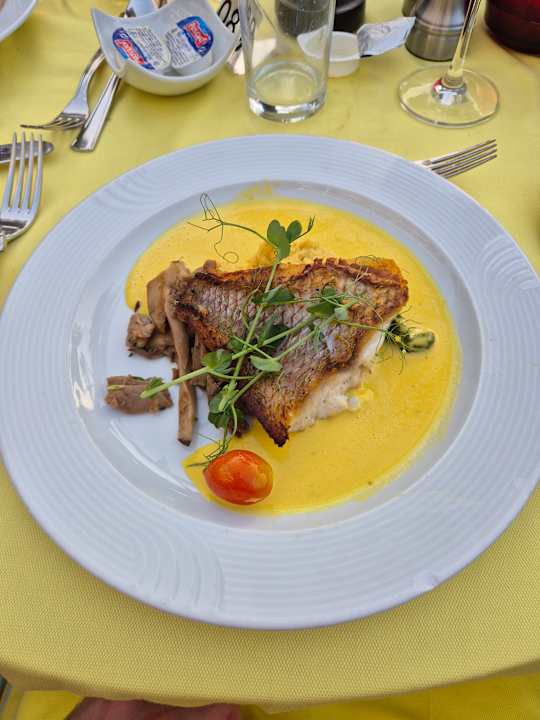 Gastro Seaside Hotel Palm Beach