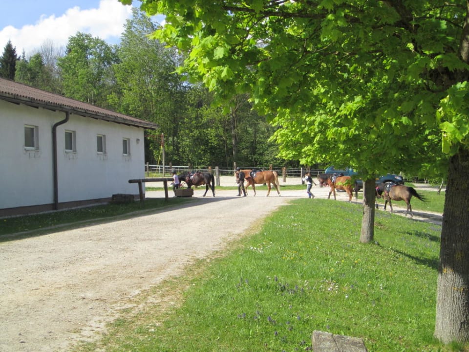 Reitanlage Aldiana Club Ampflwang