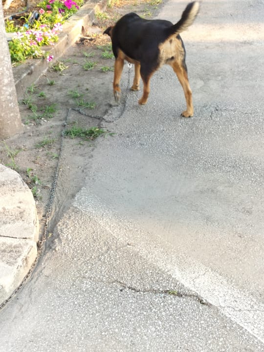 Sonstiges TUI MAGIC LIFE Calabria