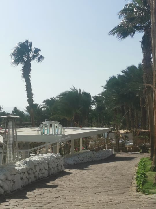 Gastro Fort Arabesque Resort, Spa & Villas